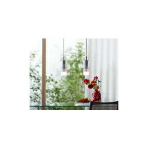 ODELIC（オーデリック） ペンダントライト 【OP252548LR】【OP 252