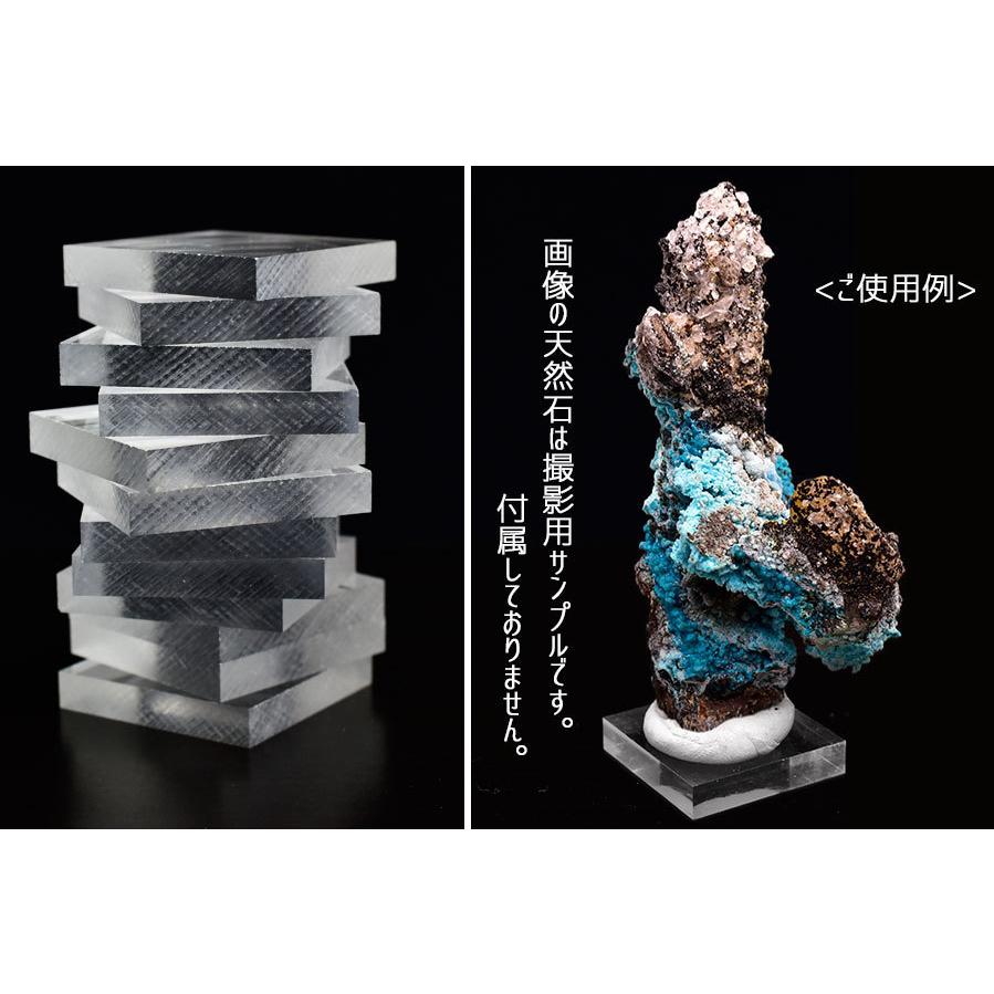 アクリルベース（12枚セット）プレート ミネラルタック付き 展示用