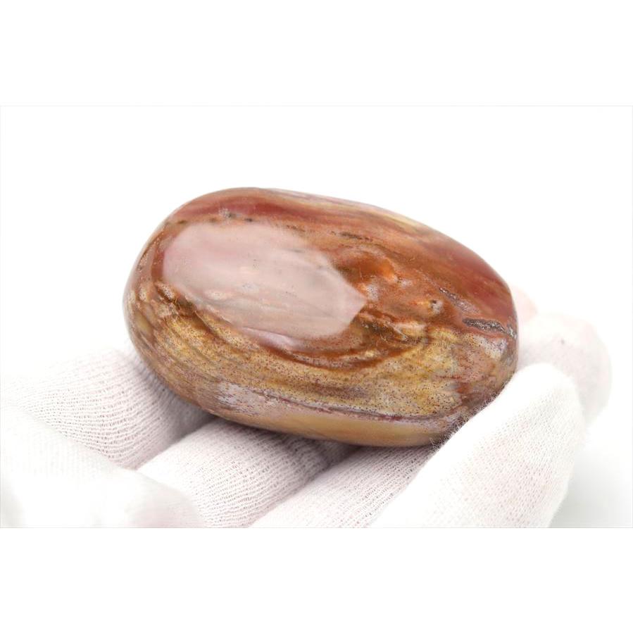 ペトリファイドウッド 珪化木 パームストーン 握り石 (約99.4g