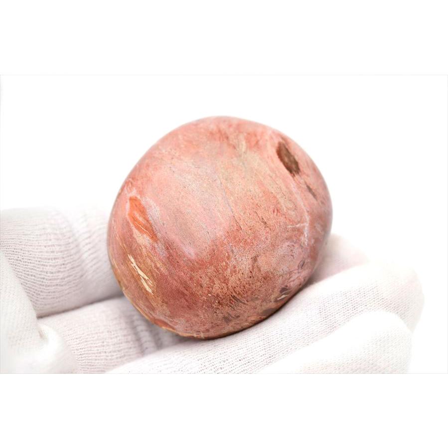 ペトリファイドウッド 珪化木 パームストーン 握り石 (約76.9g