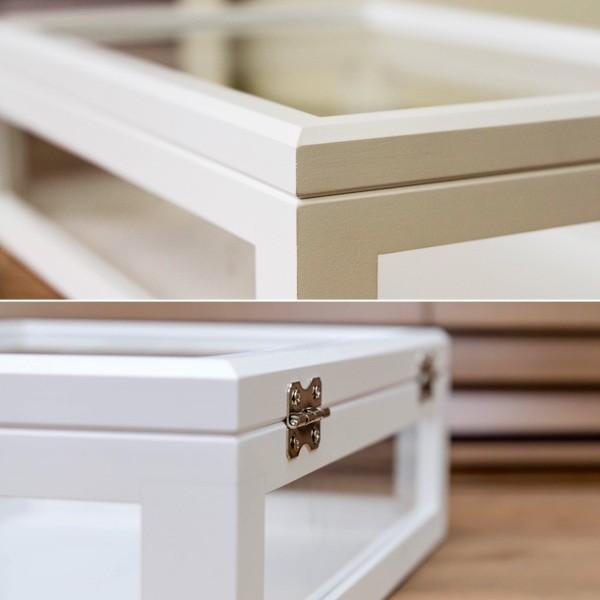 ガラスケース 木枠 フレーム 木製 コレクションケース 収納ボックス