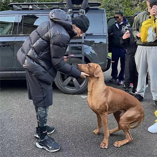 SYNA WORLD WAVE PUFFER JACKET ダウンジャケット 【BLACK