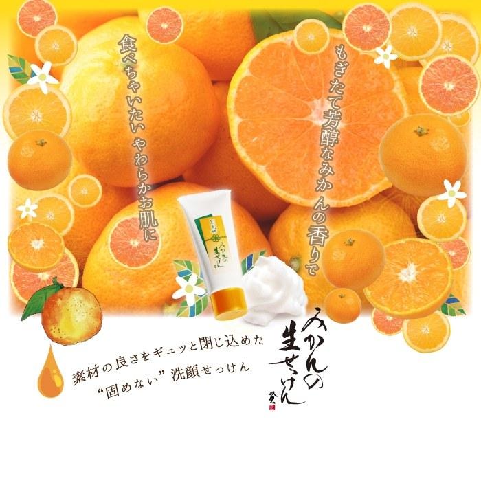 洗顔 石鹸 みかんの生せっけん 練り状タイプ 20g 泡立てネット 濃密泡