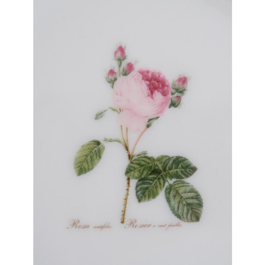 皿 プレート ルドゥーテローズ プレート19.7 ケーキプレート デザート