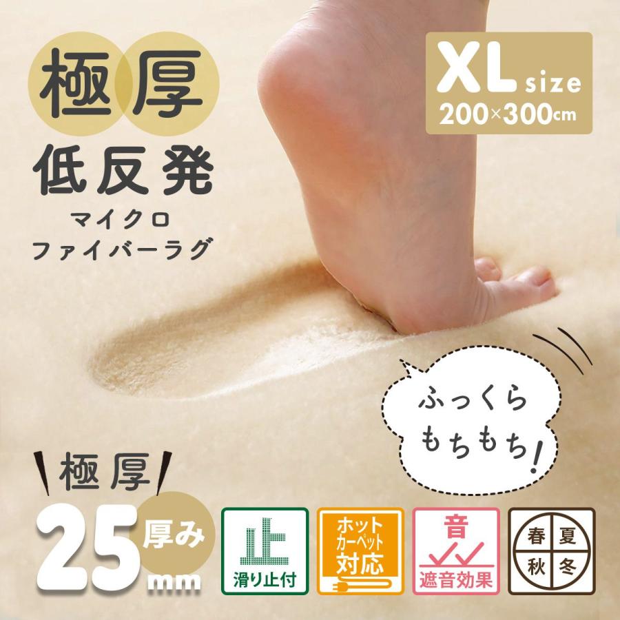 DORIS（ドリス） 極厚低反発ラグ 幅200 奥行300 厚み2.5 低反発