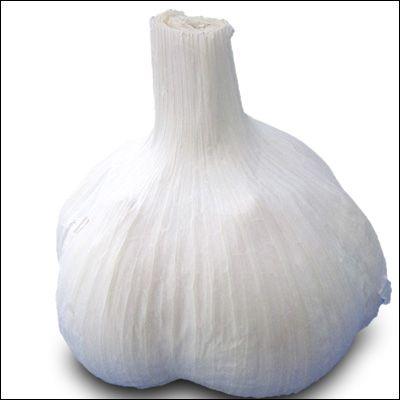 国産 青森県産 ニンニク種子 にんにく種子 福地ホワイト Lサイズ（約13
