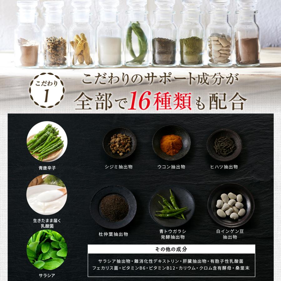 VitabridC 公式 ターミナリアファースト（グルメサプリ）3袋 血糖値 中