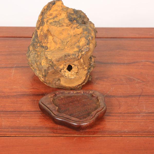 水石：泉州石 ツボ石 現品*資材 せんしゅう : 遊恵盆栽 Yahoo!店