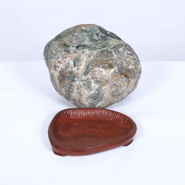 水石：青森 錦石) 現品*資材あおもりにしき : 遊恵盆栽 Yahoo!店