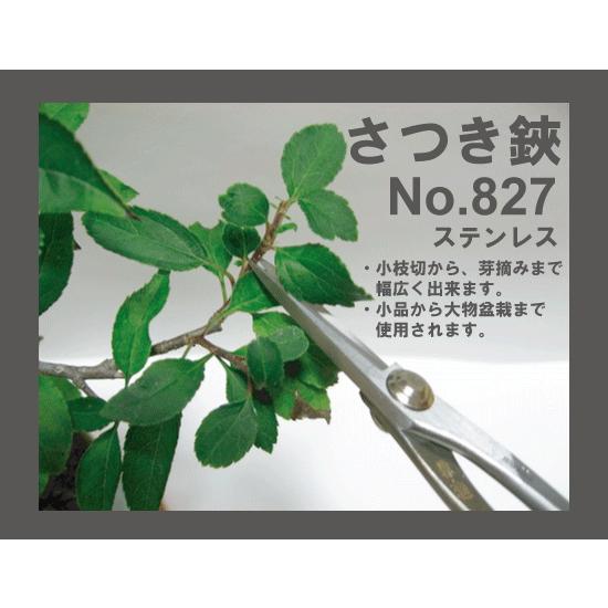 盆栽道具：兼進作 小枝切鋏 No.827*資材 : 遊恵盆栽 Yahoo!店 - 通販