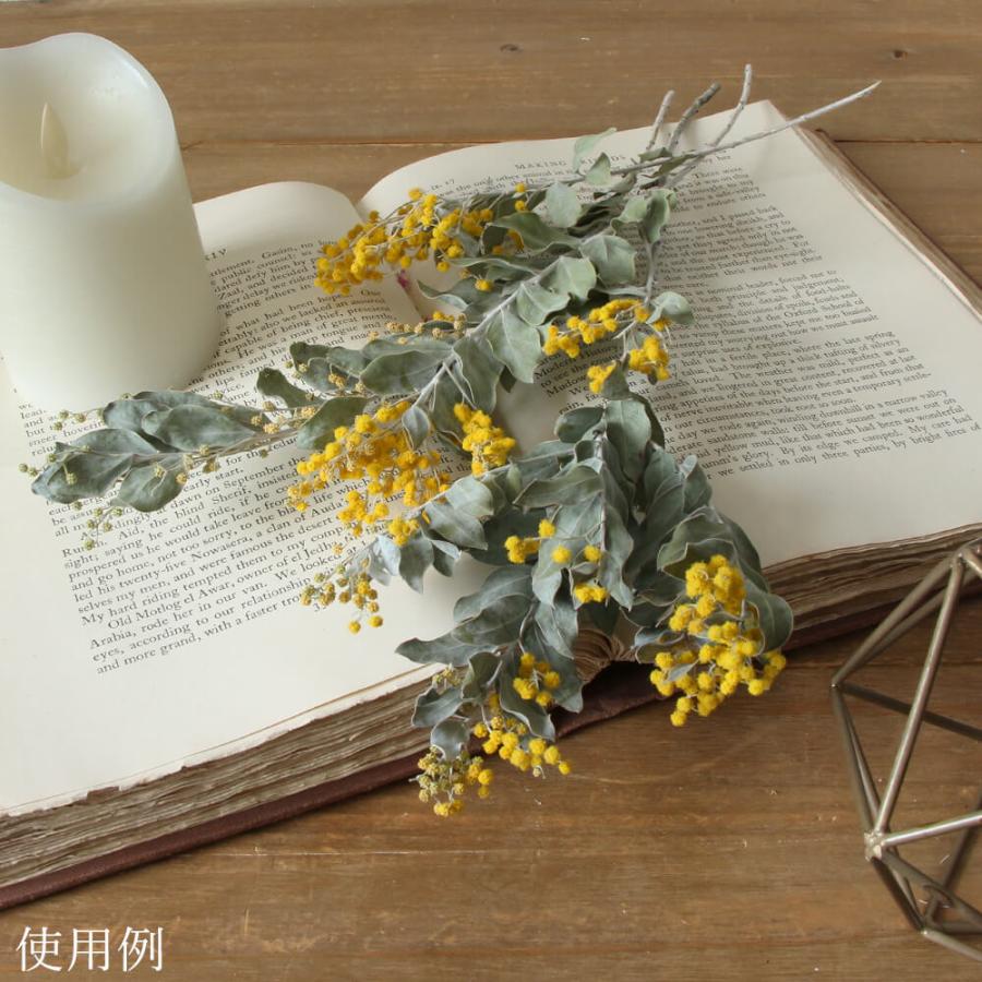 ドライフラワー 花材 即日出荷 ミモザ・ディアルバータ ナチュラル