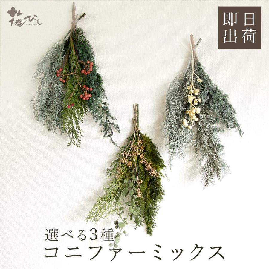 プリザーブドフラワー 花材 即日出荷 コニファーミックス 素材 材料