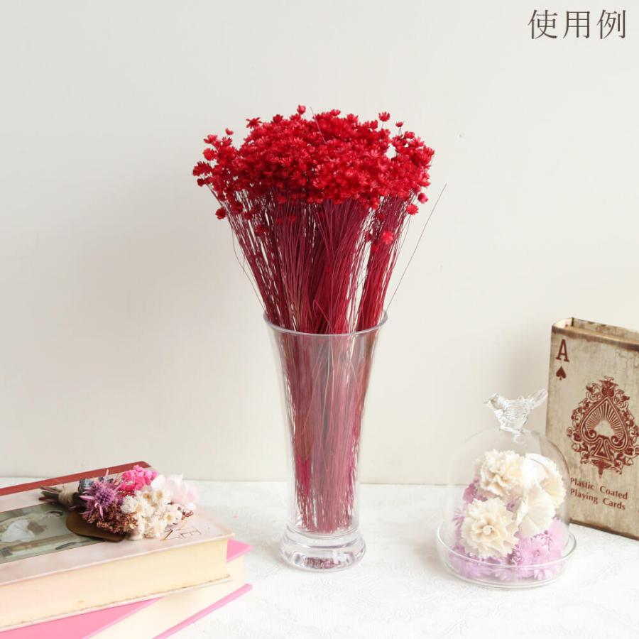 ドライフラワー 花材 即日出荷 スターフラワー・ミニ レッド スワッグ