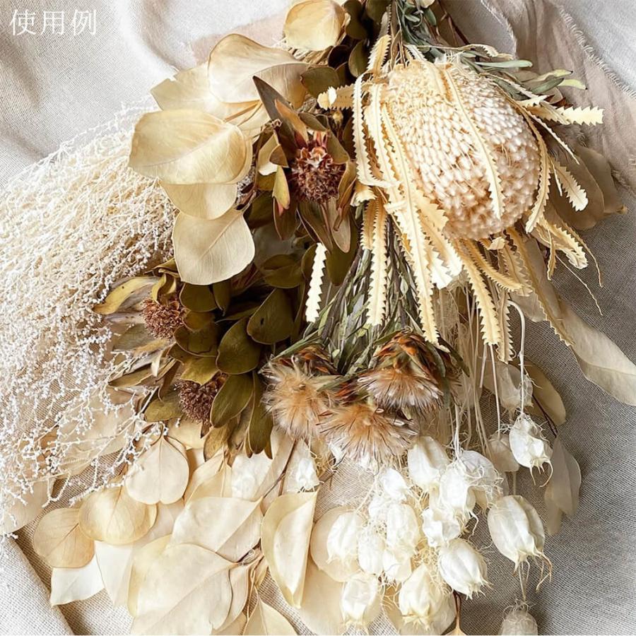 プリザーブドフラワー 花材 即日出荷 ストーベ オフホワイト スワッグ