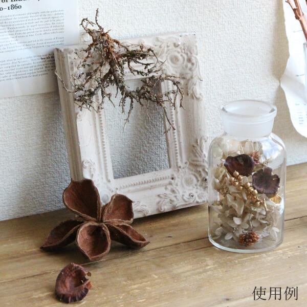 ドライフラワー 花材 即日出荷 MMロータスフラワー 12個セット 木の実