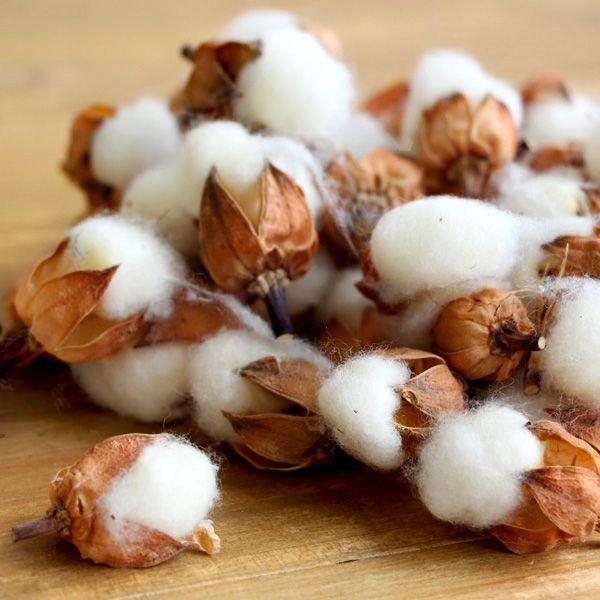 ドライフラワー 花材 即日出荷 ミニコットンフラワー 素材 材料 パーツ