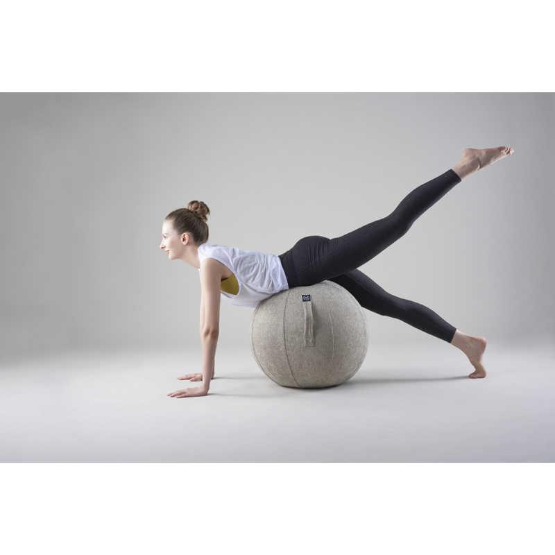 ALINCO（アルインコ） バランスボール シェリア(55cm/) サンドベージュ