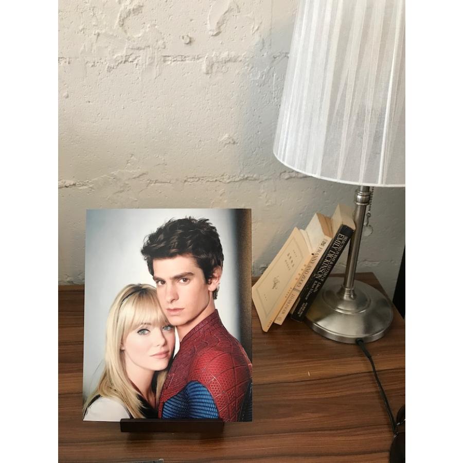 アメイジングスパイダーマン エマストーン アンドリューガーフィールド