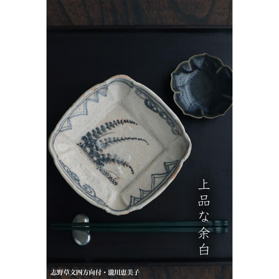志野焼：志野草文四方向付・瀧川恵美子《中皿・16.0m》 : 和食器の愉し