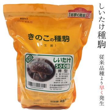 PVP きのこ種駒 シイタケ すその620 500個 丸棒型 【しいたけ種駒
