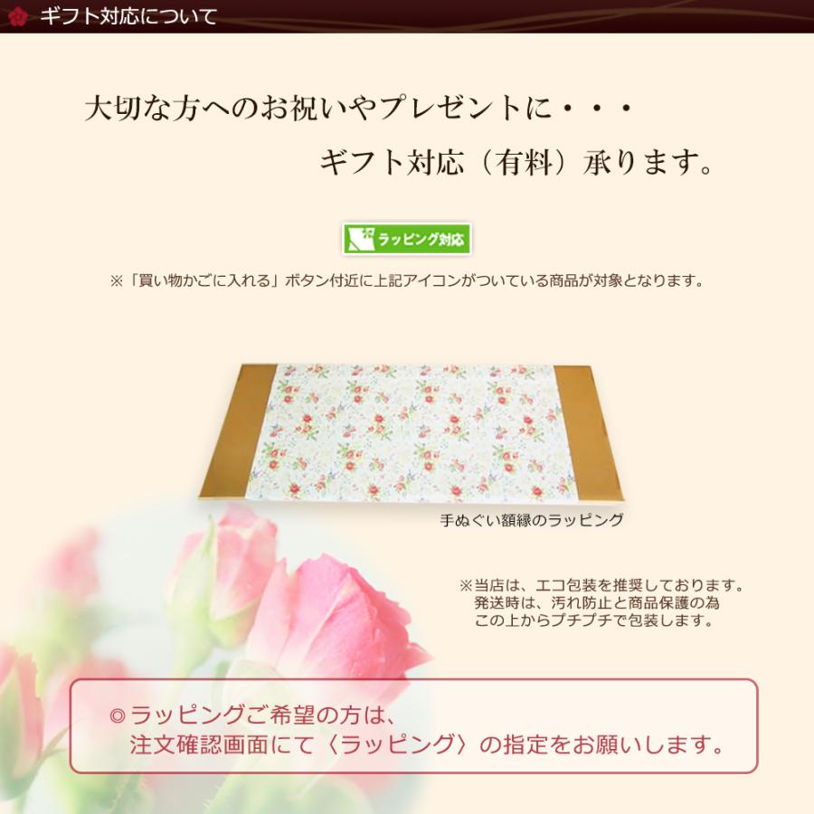 額縁 手ぬぐい額 軽量 カラータイプ マット調 赤 レッド 白 ホワイト