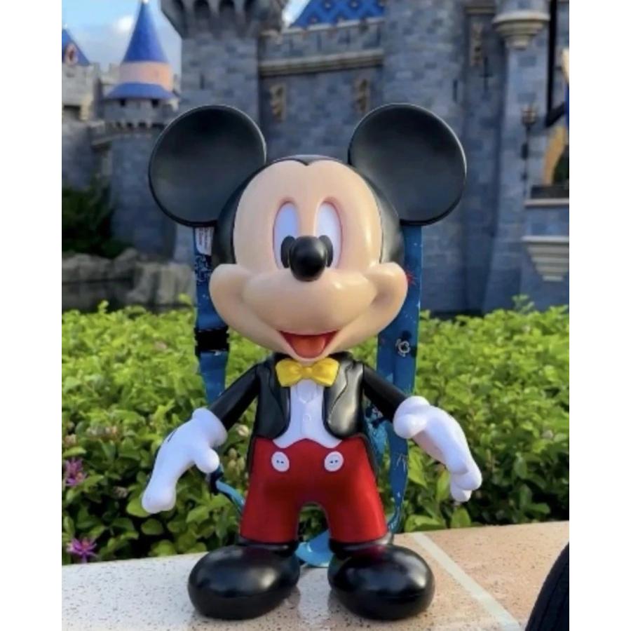 Disney（ディズニー） Disneyland ディズニーランド 70周年記念