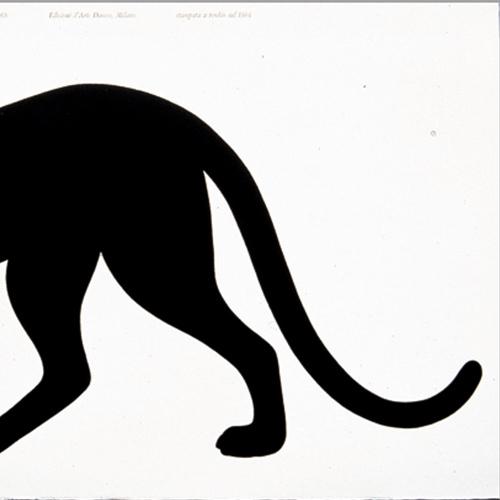 DANESE（ダネーゼ） 「Quattro la pantera」[461DEDZ004] : YAMAGIWA