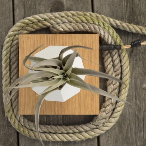 FLYTE(フライト)LYFE ライフ : YAMAGIWA - 通販 - Yahoo!ショッピング