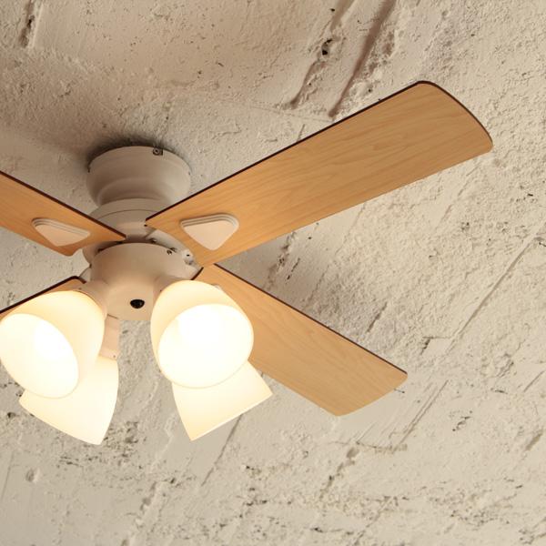 plus more 特典付 plusmore シーリングファン Windouble ウィンダブル