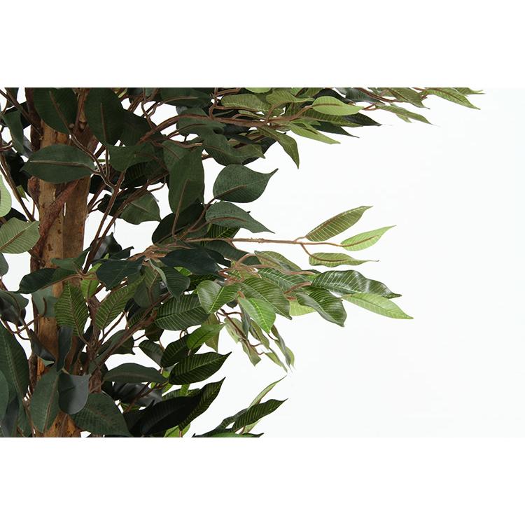 FJ フェイクグリーン 観葉植物 フィカス 1124 A [大型] 高さ170cm