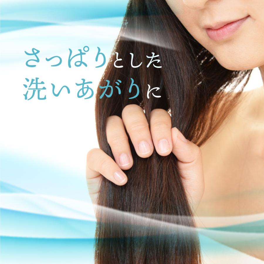 シャンプー 「 カイト シャンプーパウチ 60枚 」 ヘアケア ノン