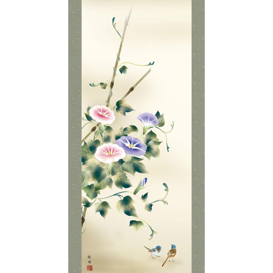 掛軸 (掛け軸) 夏用 朝顔 田村竹世 尺五立 約横54.5×縦190cm g4572 夏