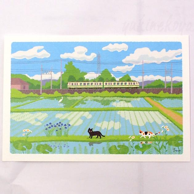 猫のポストカード たびねこ 電車と田んぼ 森俊憲 もりとしのり 黒猫 三