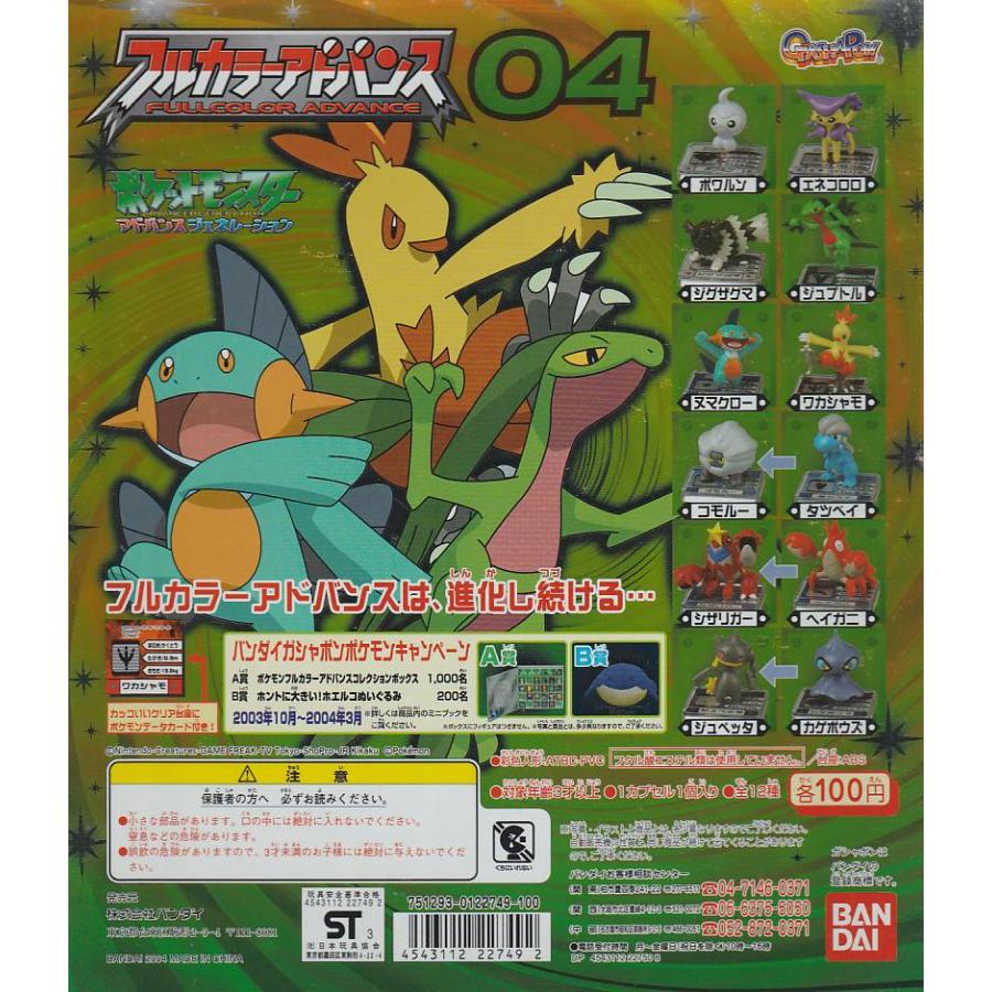ポケットモンスター フルカラーアドバンス 04 【台紙】POP