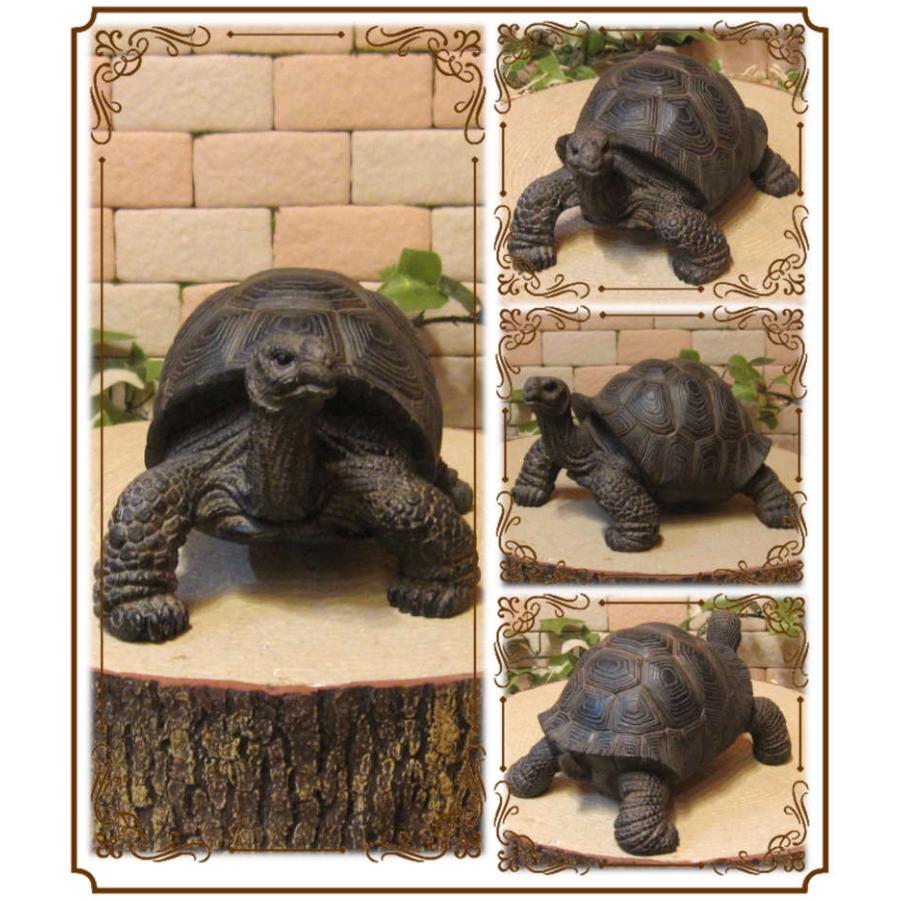 置物 動物 可愛い リアル カメの置物 Aタイプ かめオブジェ 亀