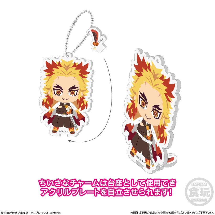 BANDAI（バンダイ） 鬼滅の刃 全員集中！みつめてアクリルチャーム2 8