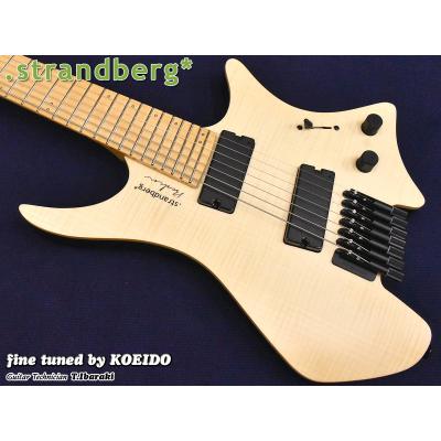 strandberg 7弦（ギター）｜楽器、器材 | 楽器、手芸、コレクション の