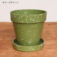 鉢 植木鉢 プランター 3.5号 ソーサー ガーデニング 観葉植物 花