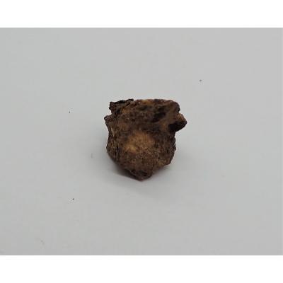 宇宙村 - イミラック・パラサイト（石鉄隕石）｜Yahoo!ショッピング