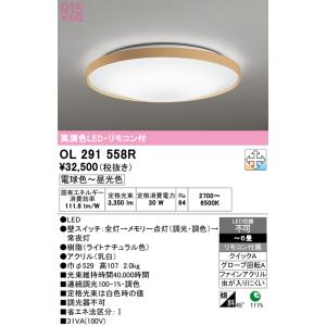 OG254873R 最新モデル 防雨型LEDシーリング オーデリック : LED照明と
