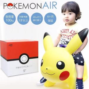ポケモン エアー POKEMON AIR ピカチュウ 森の香り 遊具 おもちゃ