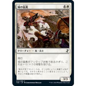 Magic: The Gathering（マジック：ザ・ギャザリング） MTG 焼灼