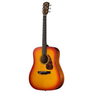 調整済み モーリス M-280 アコースティックギター : タケヤ楽器 調整