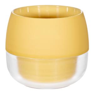 盆栽小鉢：真山（まざん）楕円鉢 13.7cm 【現品】 : 遊恵盆栽 Yahoo!店