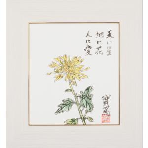 武者小路実篤 色紙 花も実も / 花も実もある この世哉 額（白、金、銀