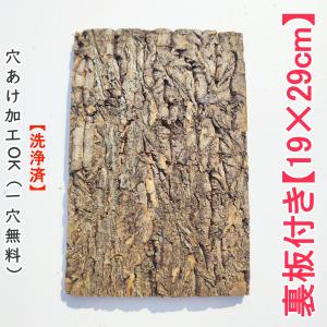 1枚 20×30cm コルク樹皮 コルク板 バージンコルク コルクボード 送料