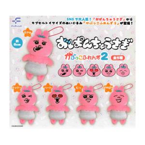 おぱんちゅうさぎ プレゼントBOX入り ぬいぐるみ 約20cm んぽちゃむ