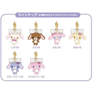 2026年5月発売予定 サンリオキャラクターズ シュガーバニーズ ふわくた