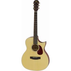 ARIA Aria-101CE/MTBK (Black) マット塗装 エレアコ / ソフトケース付