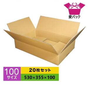 愛パックダンボール ダンボール箱 段ボール 100サイズ 白 10枚セット